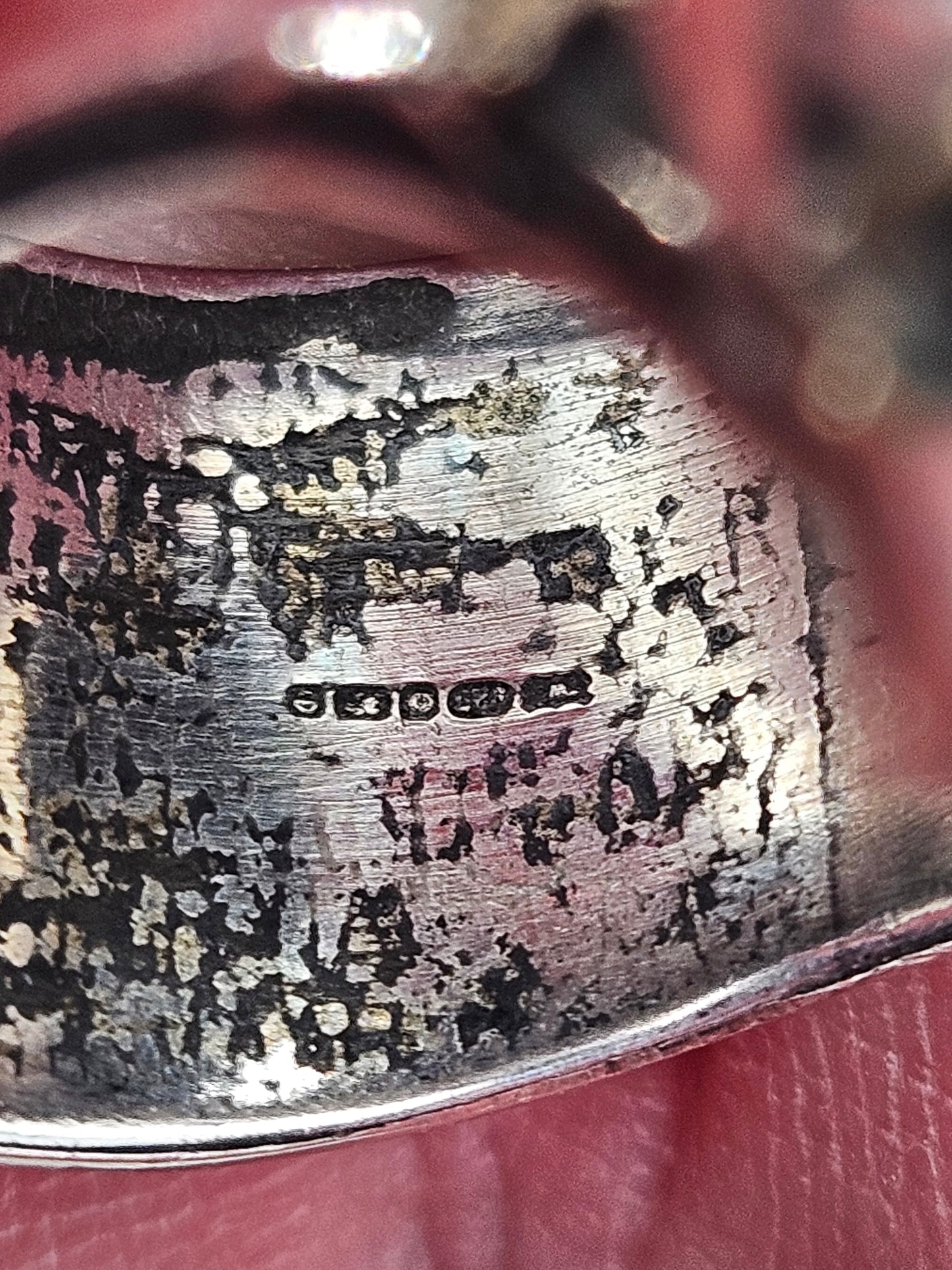 Skull + Crossbones Silver 925 Ring. UK Size Z+1, 71 Grams. Wildcat Collection.