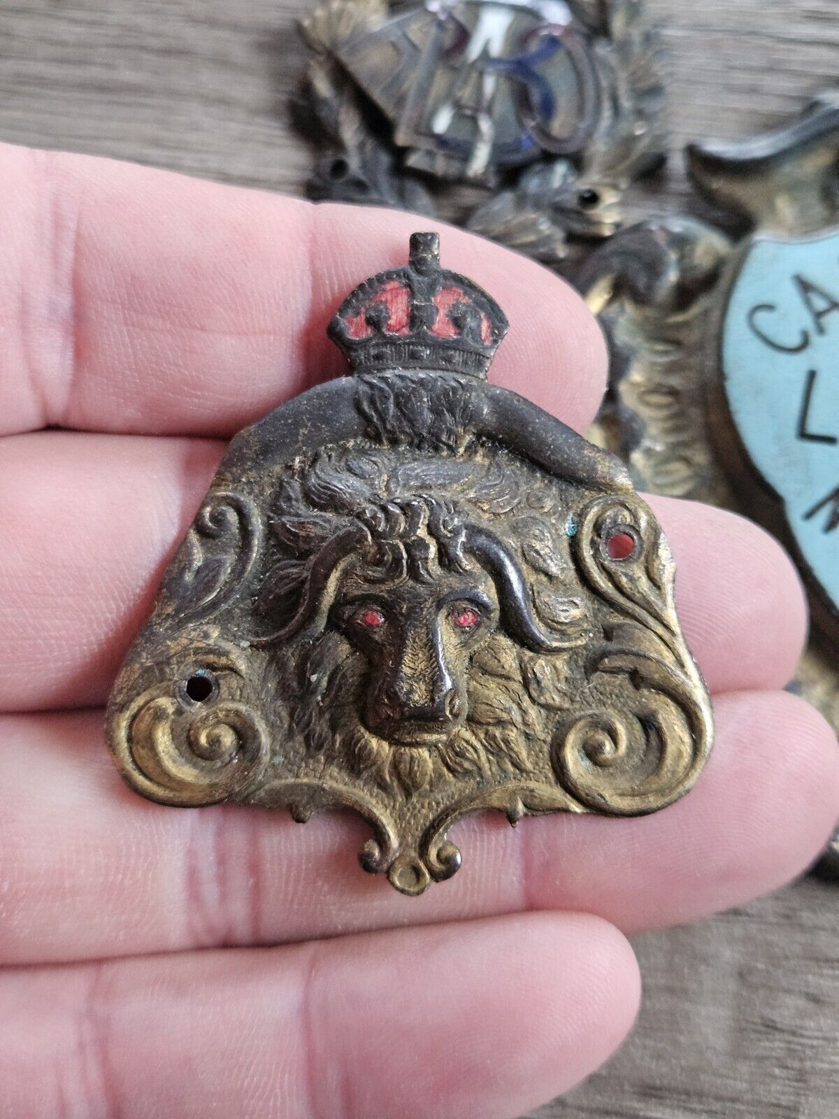 Vintage RAOB Royal Antediluvian Order of Buffaloes - Brass Plaque Adornments.
