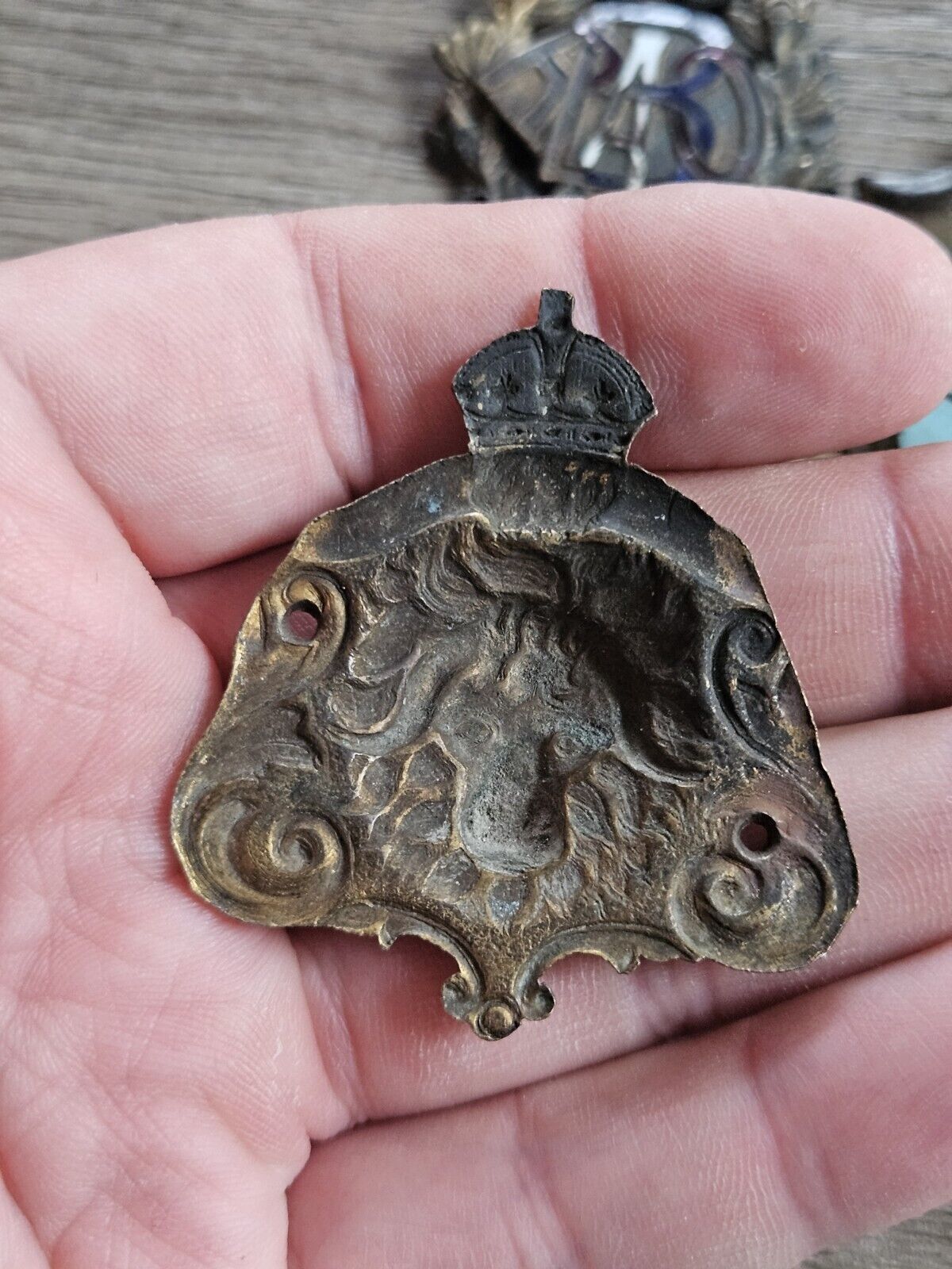 Vintage RAOB Royal Antediluvian Order of Buffaloes - Brass Plaque Adornments.