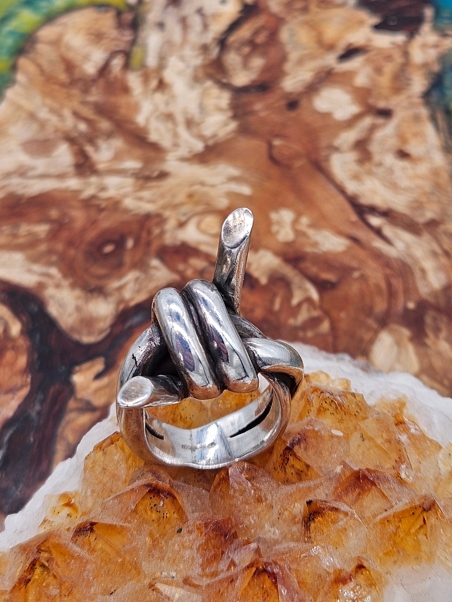 Heavy Barbed Wire Ring, Silver 925. The Wildcat Collection. Size P 1/2.